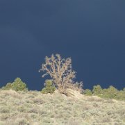 MonoBasin 090 : MonoBasin